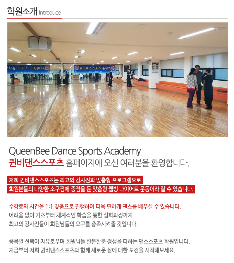 퀸비댄스스포츠_내용